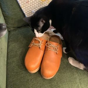 Bryr size 10 Zoe Platform Clogs in Whiskey